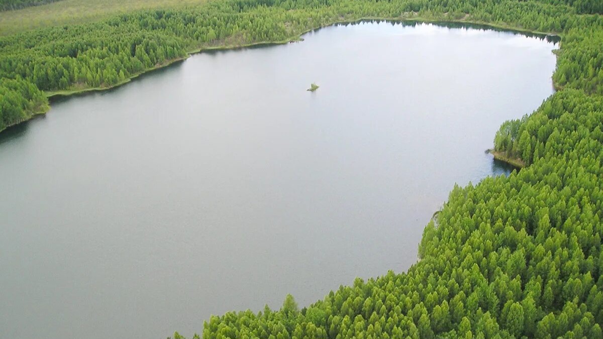 Озеро в осе. Озеро в осе. Озеро арейское забайкальский край. Еловое озеро фролищи. Озеро в осе.