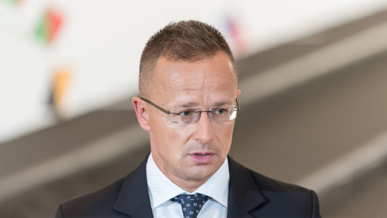    В Венгрии заявили, что решения Запада делают ближайшие два месяца чрезвычайно опасными Виктория Шварц