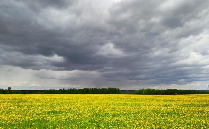    фото из архива КИ