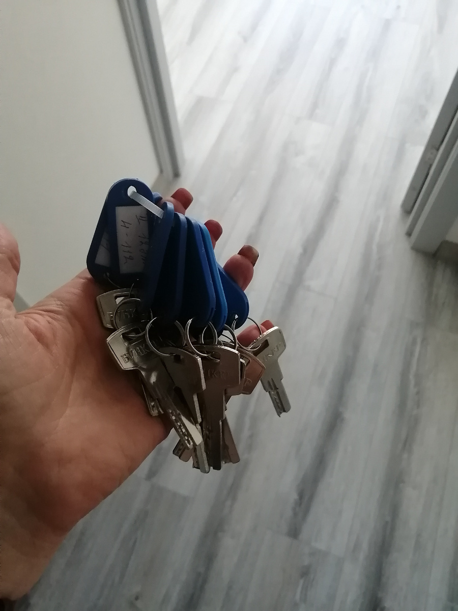 Рука автора 