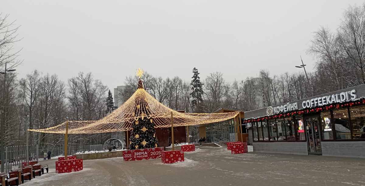 ПКиО Лианозовский. 27.11.2024 г, среда. ЗДЕСЬ и далее фото автора и или из личного архива автора, если не указано иначе.