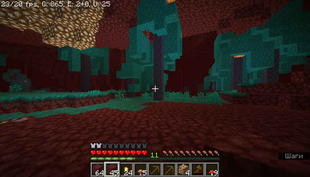 (Я не помню зачем этот скрин был сделан, возможно просто впервые в выживании увидел лес в аду)