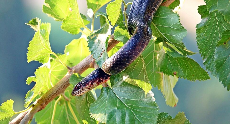    Mehmet Masum Suer/Keystone Press Agency / Global Look Press