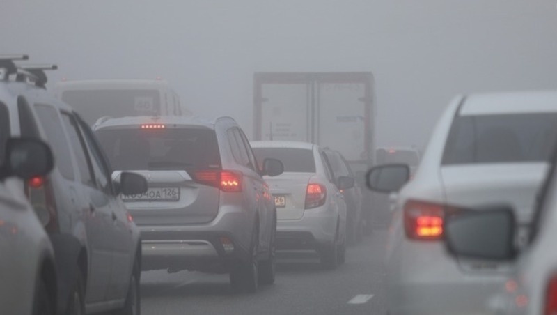      Фото: ИА «Победа26»