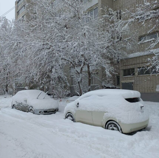 Фото читателя "Симон Шкаф". Любишь кататься, люби и саночки возить!
