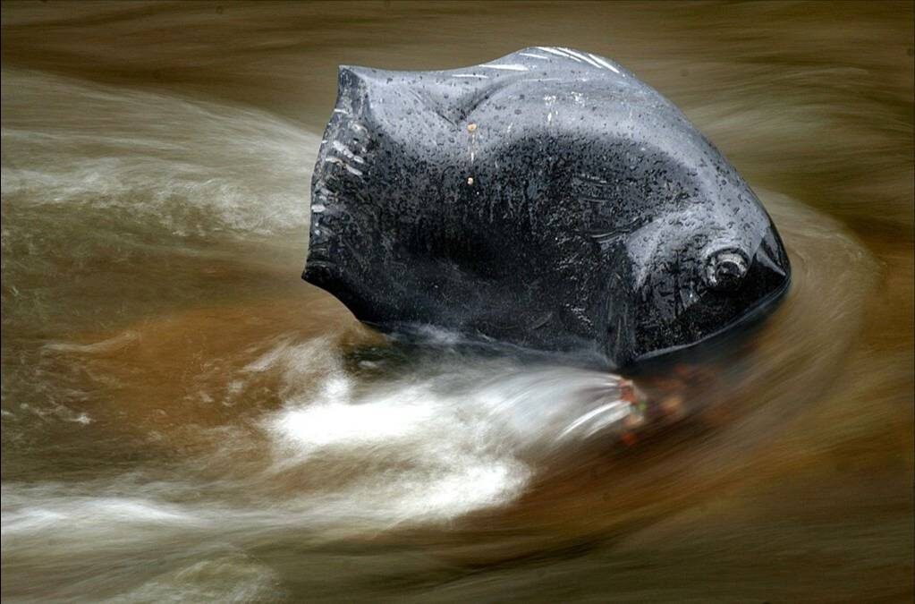 П. Фишман.Рыба исполнения желаний. Гранит, город Хаген (Германия), река Фольме.Фото из открытого источника