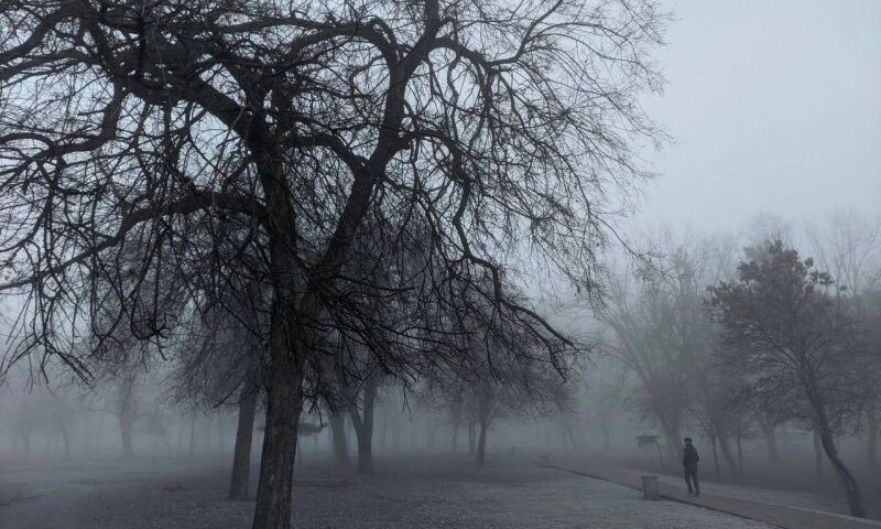    Фото "Кубань 24"