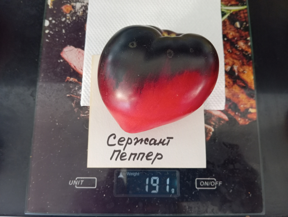 Сержант Пеппер в 2024 году. Листайте