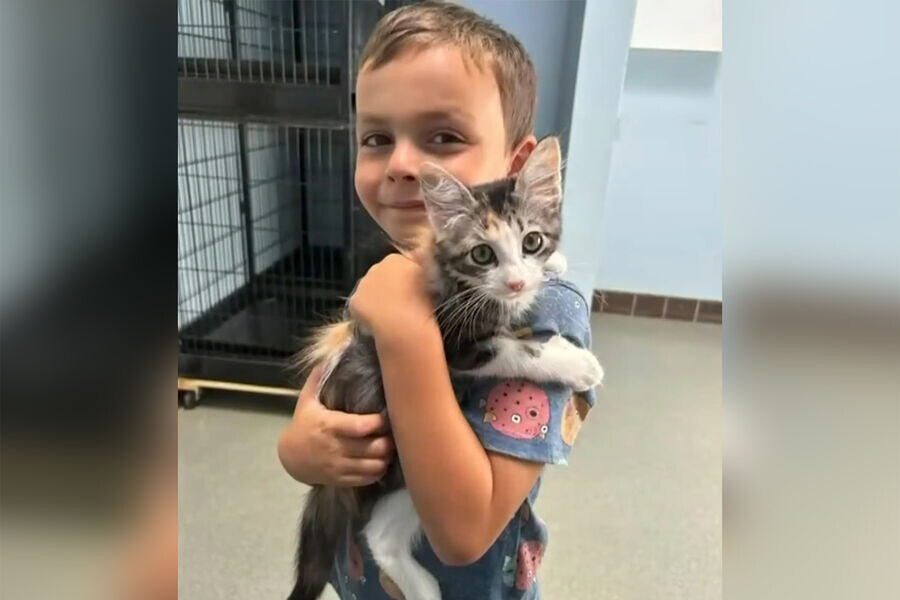 Лука со своей любимой кошечкой. Фото: NBC WJAR