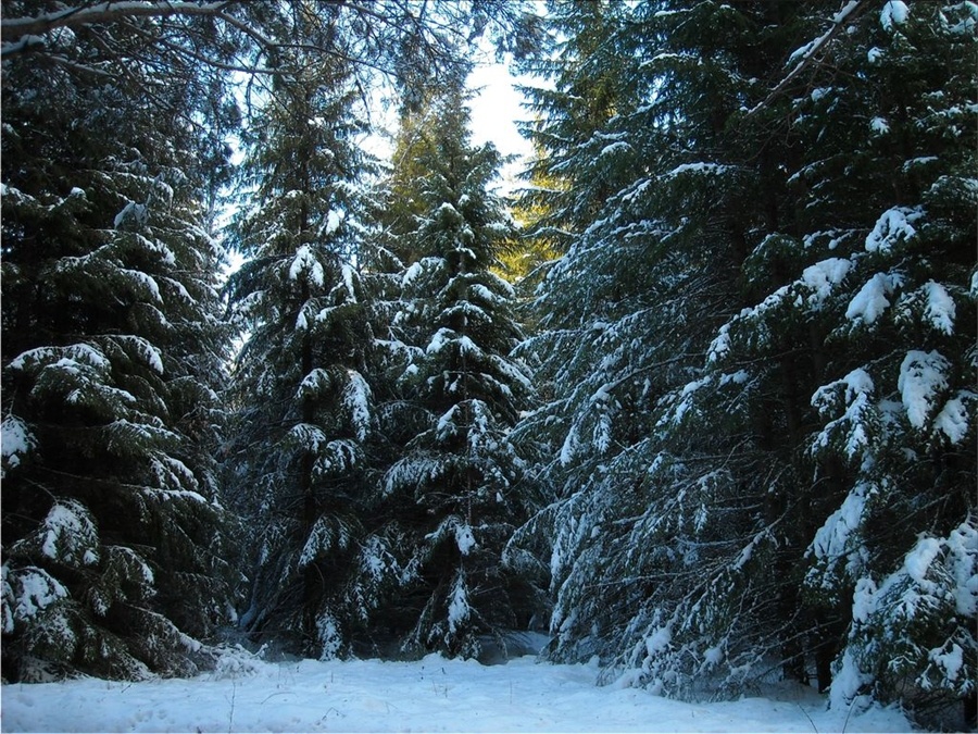 Из открытого доступа