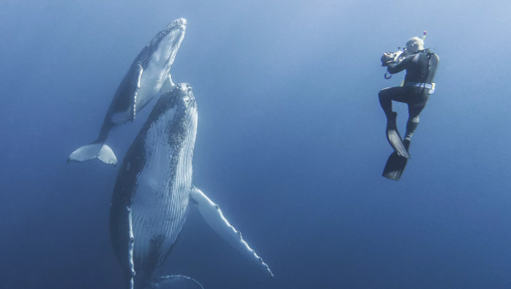 Семейное фото на память.