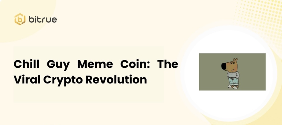 Криптотокен валюта по мему Chill Guy