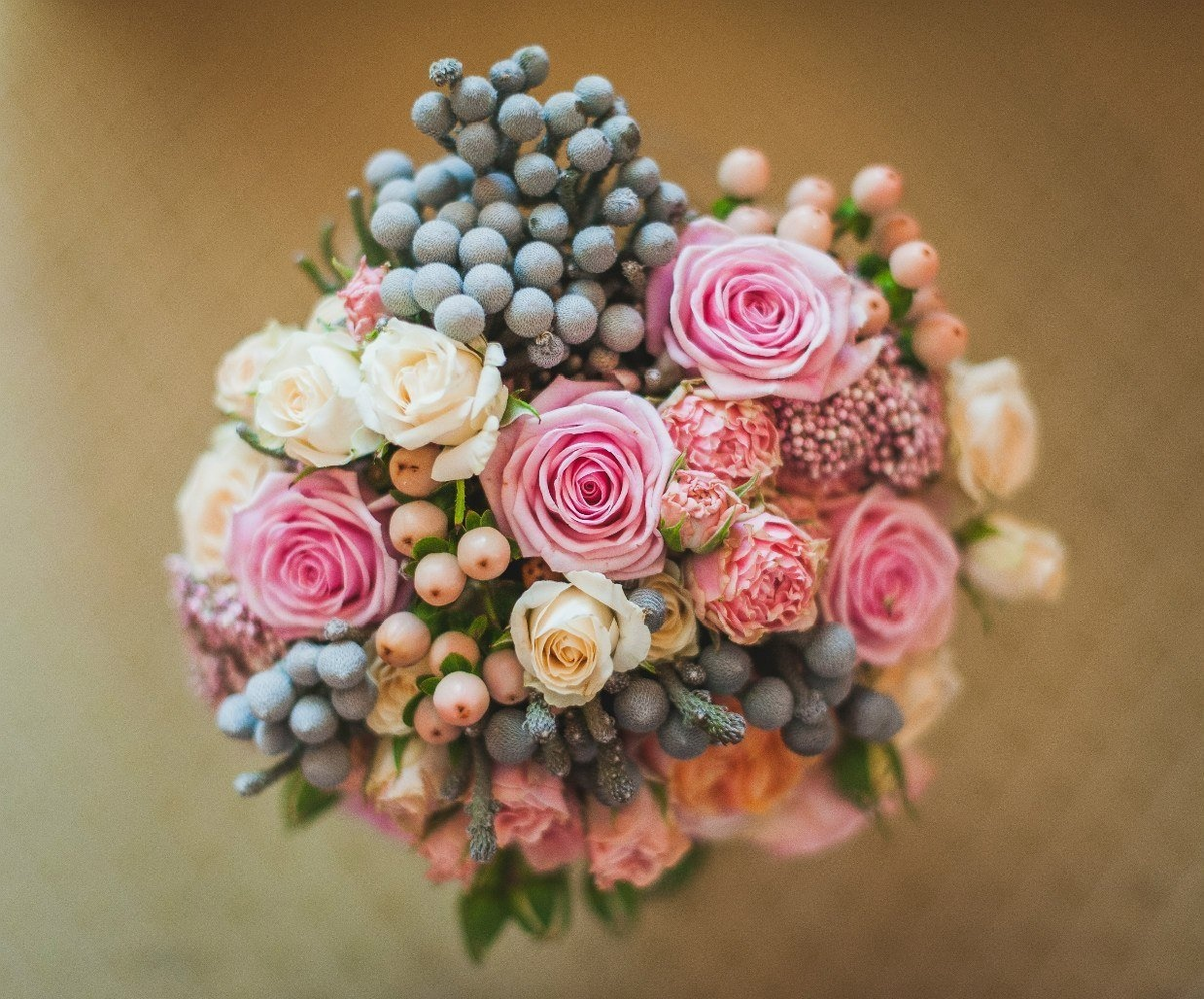 Это не пластиковые игрушки, это живое растение! Имейте уважение!