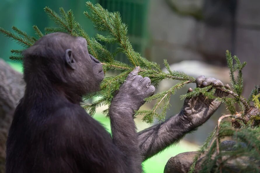    Komsomolskaya Pravda/Global Look Press