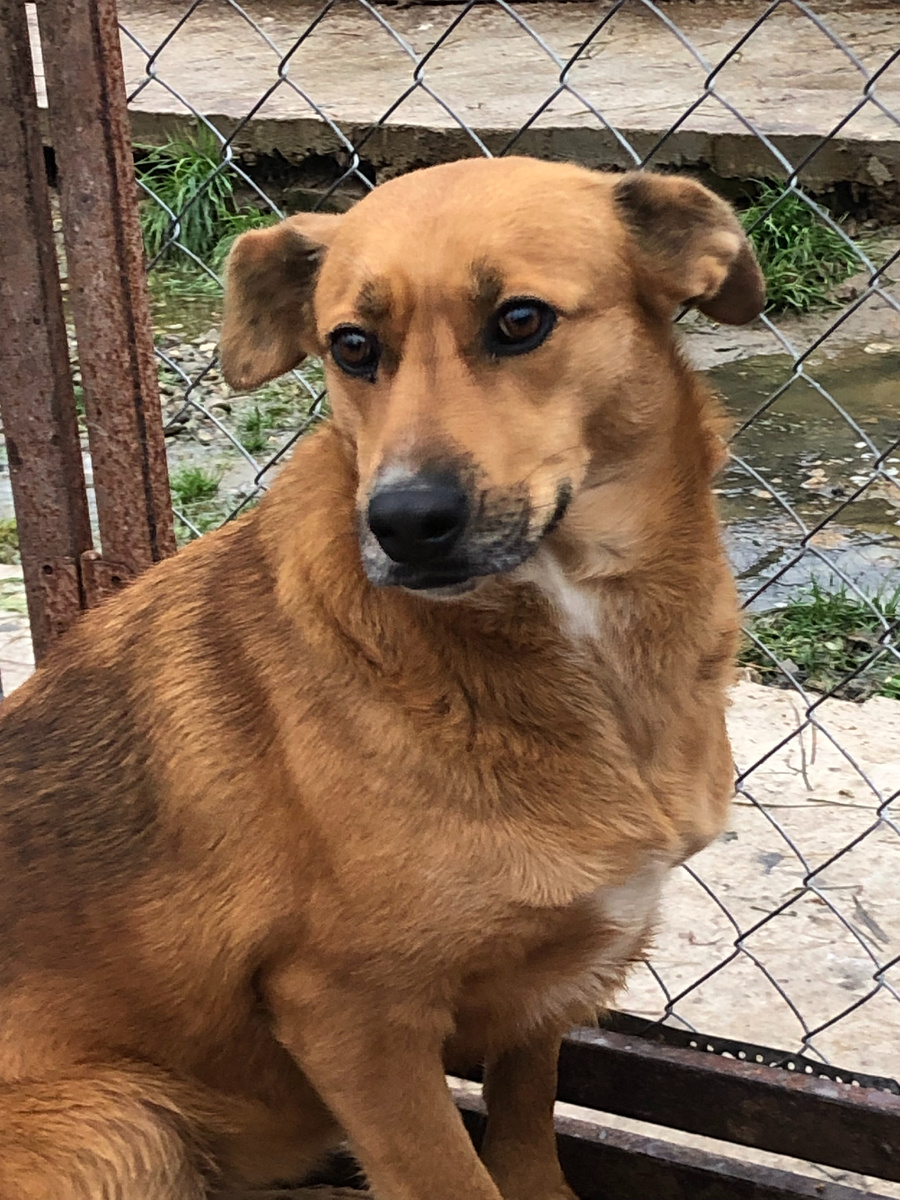 фото 2024 года