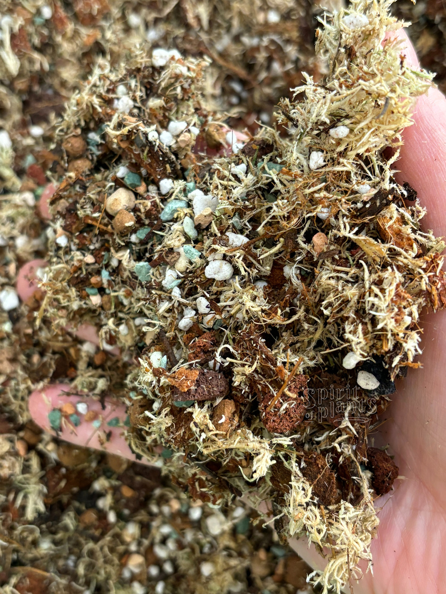 Субстрат для спатифиллума: кокосовые чипсы, мох сфагнум, цеолит, диатомит, мелкая кора сосны, перлит, уголь.