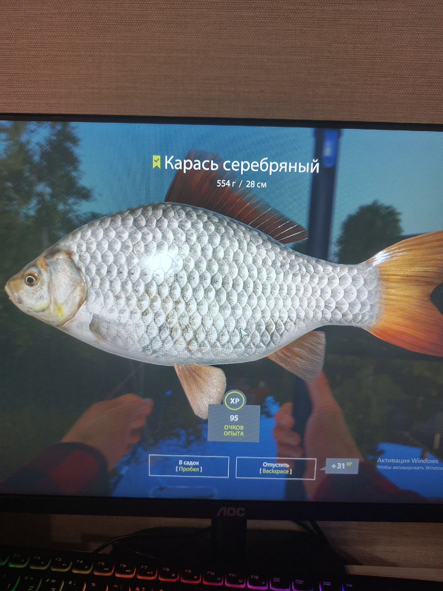 Первый карась на месте😀