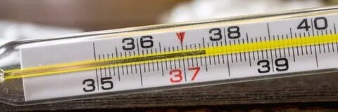 Фото взято из интернета. 