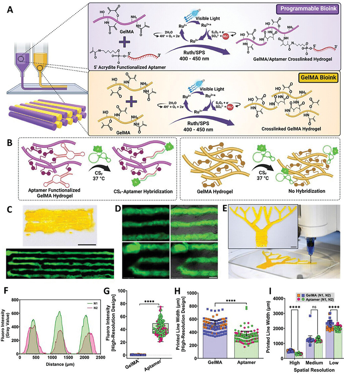    Advanced Healthcare Materials