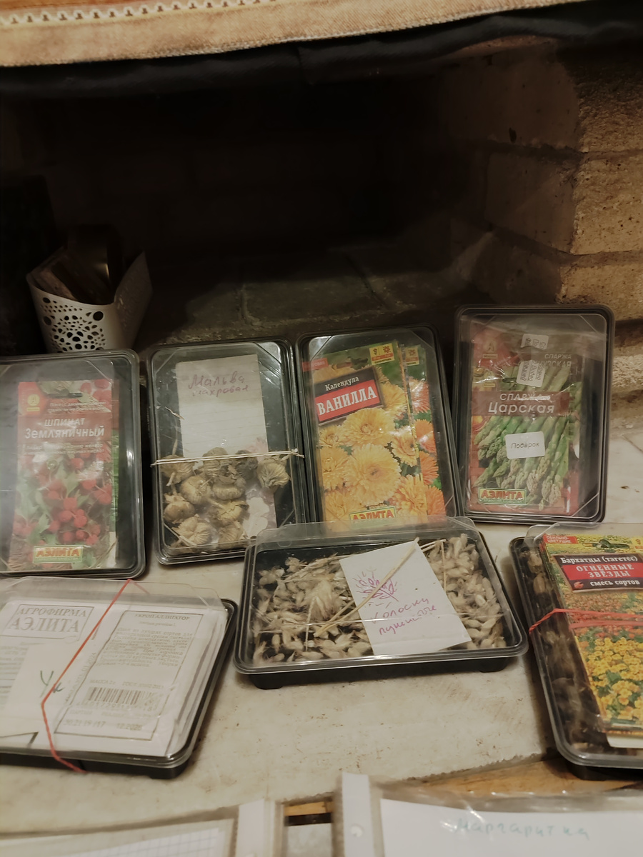 Разложила семена по коробочками от суши