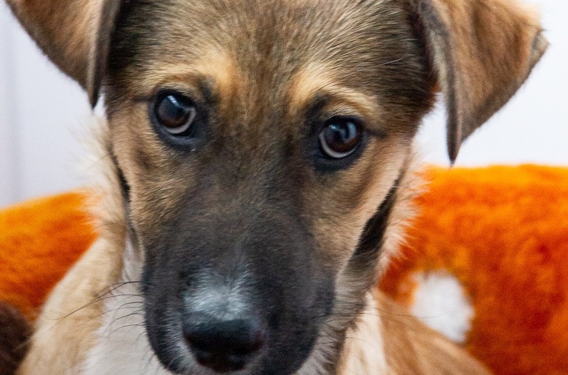 🆘🆘🆘 Друзья, нам очень нужна ваша помощь‼️‼️‼️