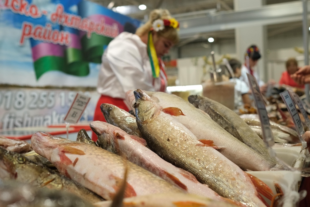 Продуктовая ярмарка в Приморско-Ахтарском раоне. Фото: Кубанские новости