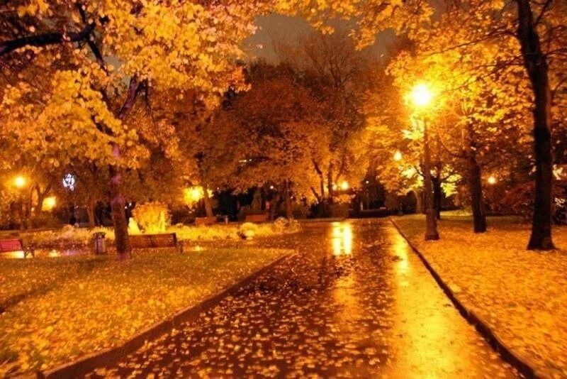 Фото: Осень в Коломне. Фотолюбитель Геннадий Пугачев.  Пейзаж.                         