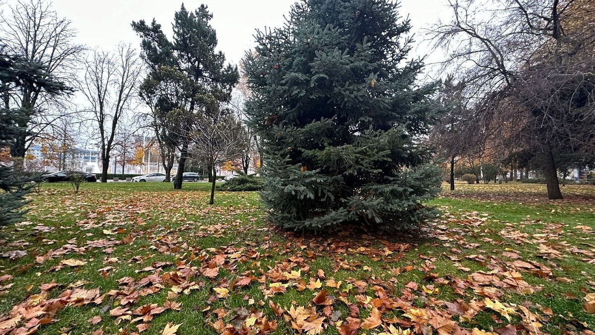    Фото: телеканал «Краснодар»