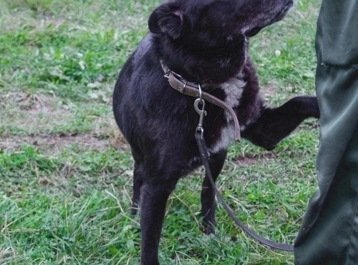 🌈На радуге❗Аза🖤