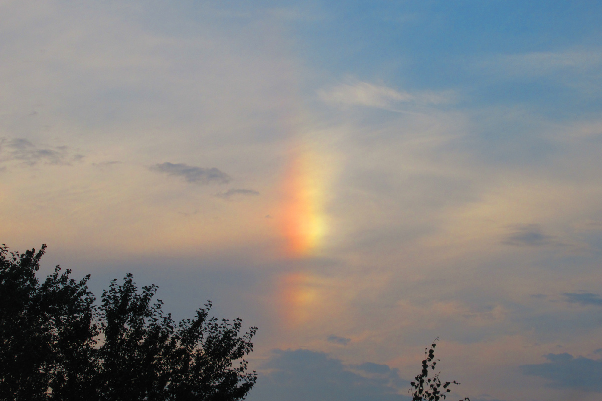 Фото Марины Романовой 