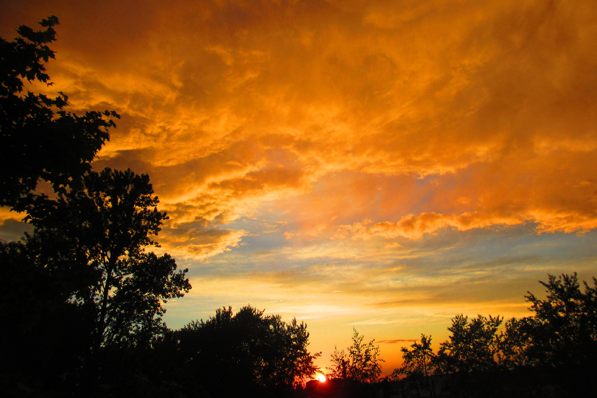 Фото Марины Романовой 