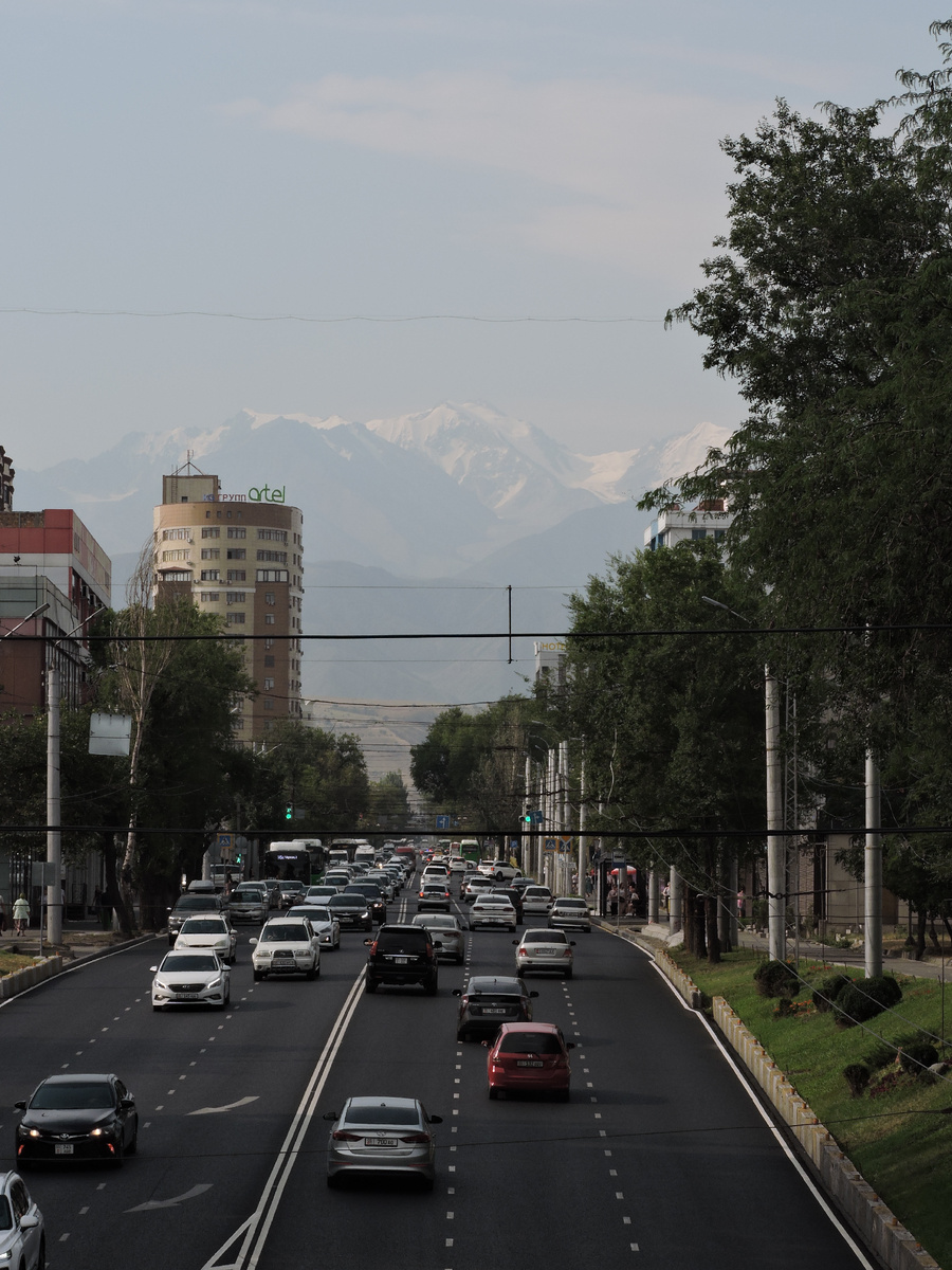 Вид с моста на ул. Льва Толстого на Тянь-Шаньские хребты