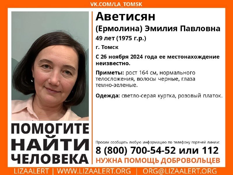    Лиза Алерт-Томск Фото: Лиза Алерт Томской области