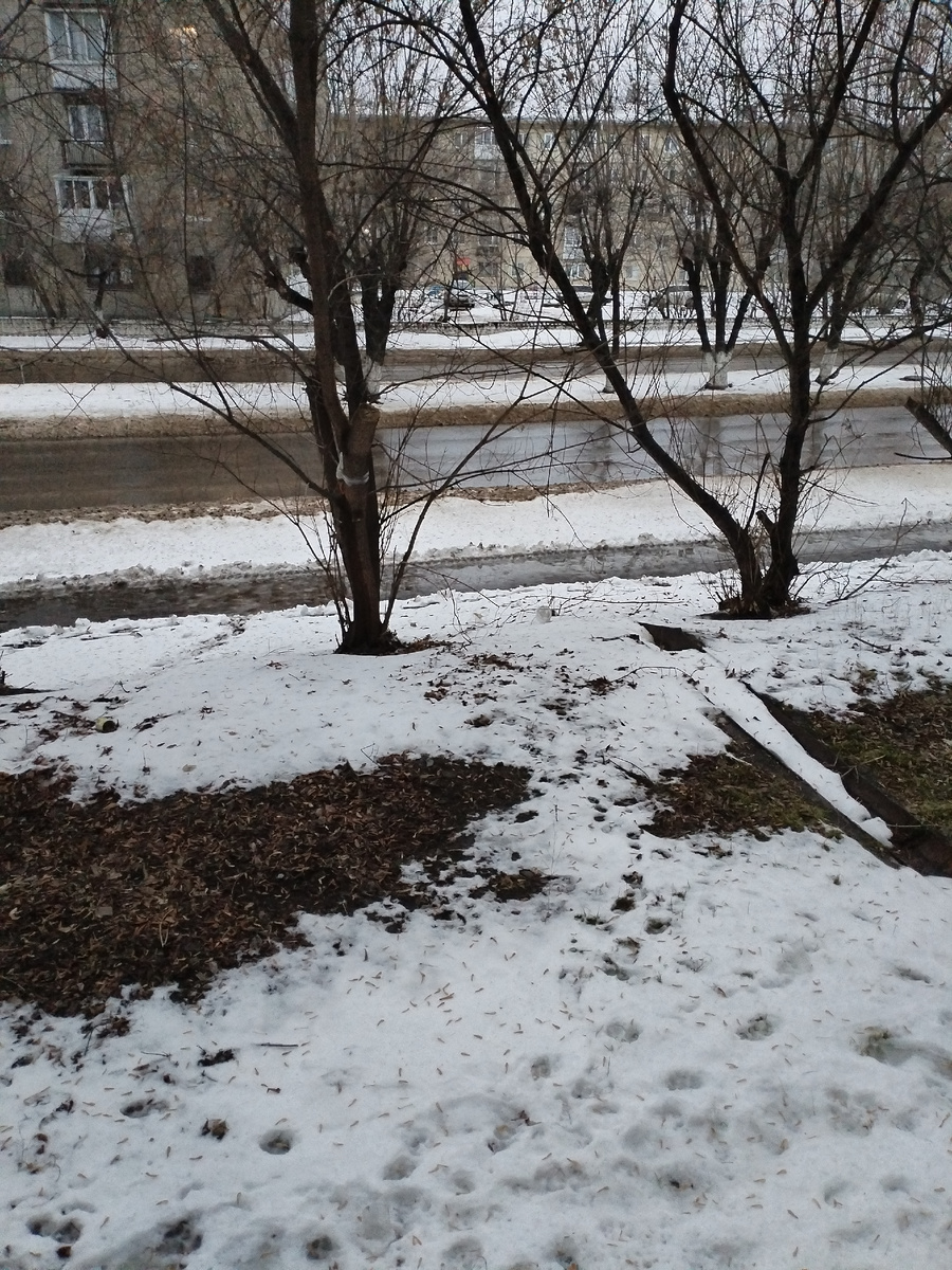 И сегодня после дождя