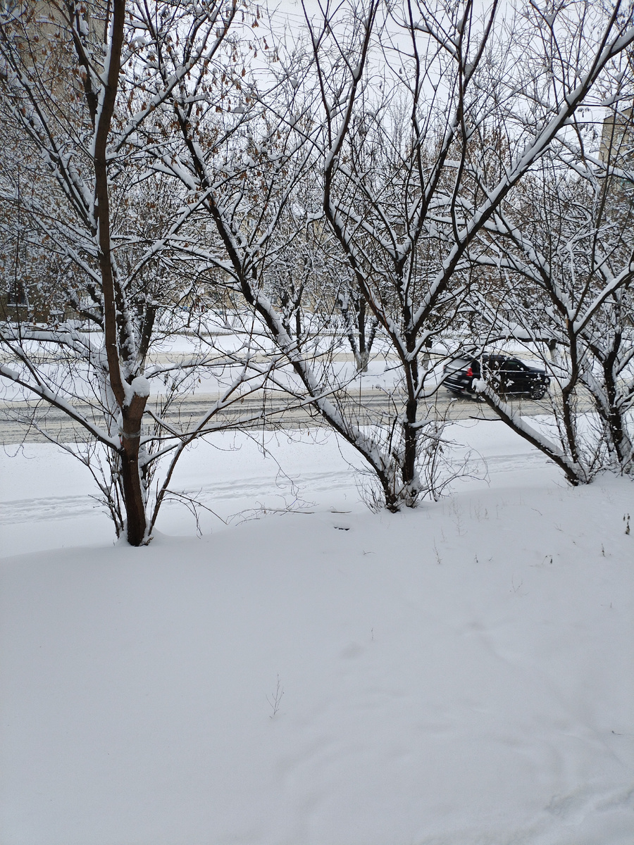 Было столько снега