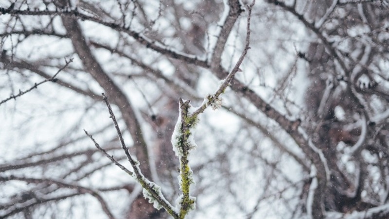 Фото: @wirestock / freepik.com