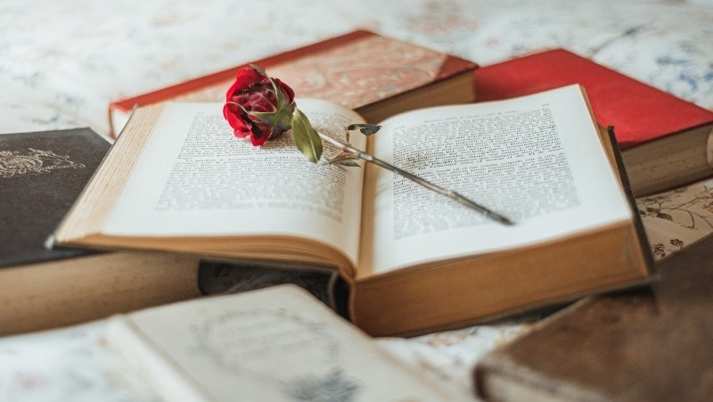 Фото: @wirestock / freepik.com