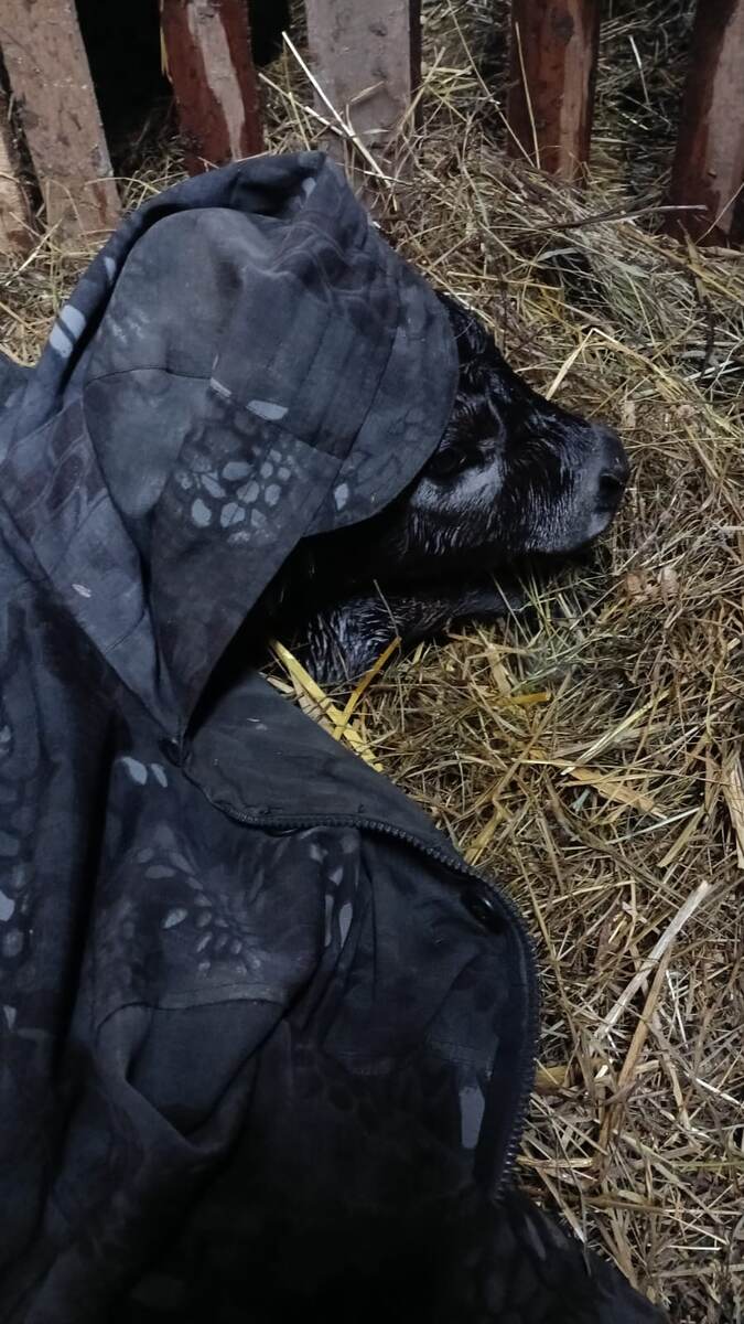 Антоша отжалел свою куртку. С барского плеча 🤭