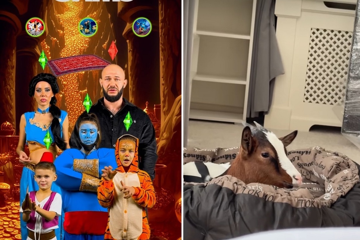 В арендованном доме семья обустроила целую ферму. Фото: социальные сети.