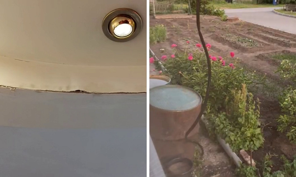 Фото: предоставлены героями материала