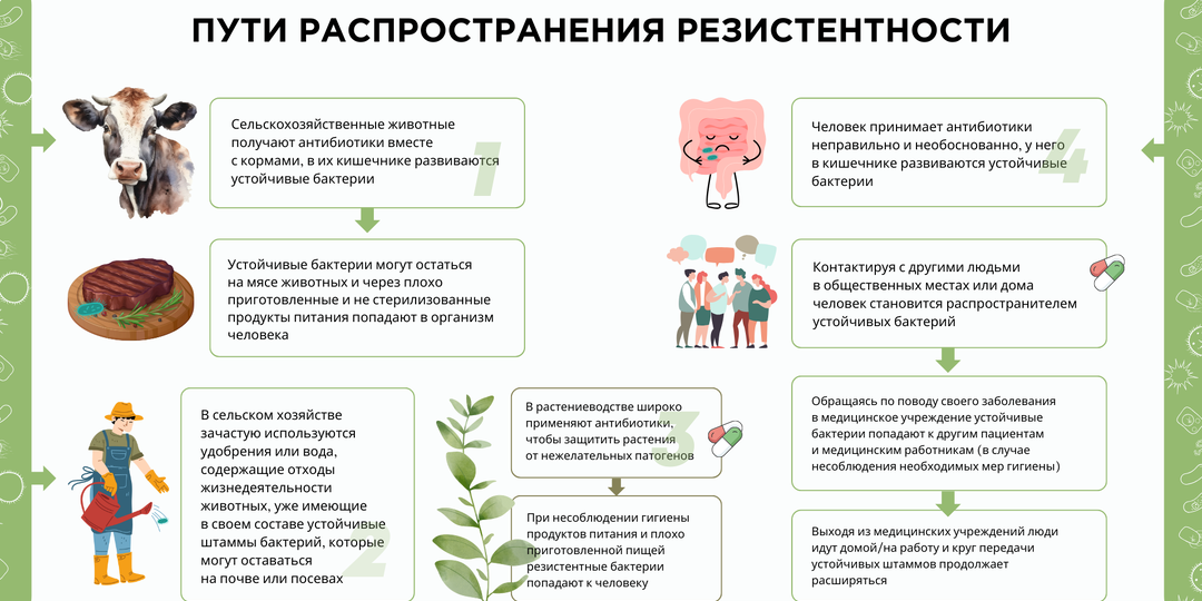 Устойчивость к антибиотикам: вызов для современной медицины