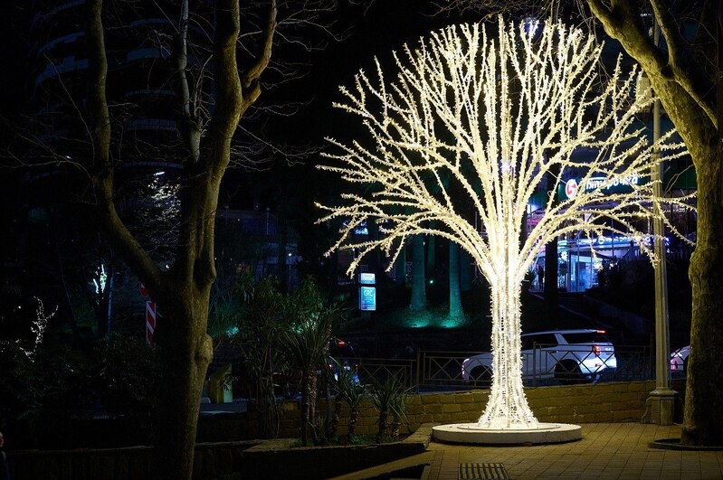    Фото: пресс-служба мэрии Сочи