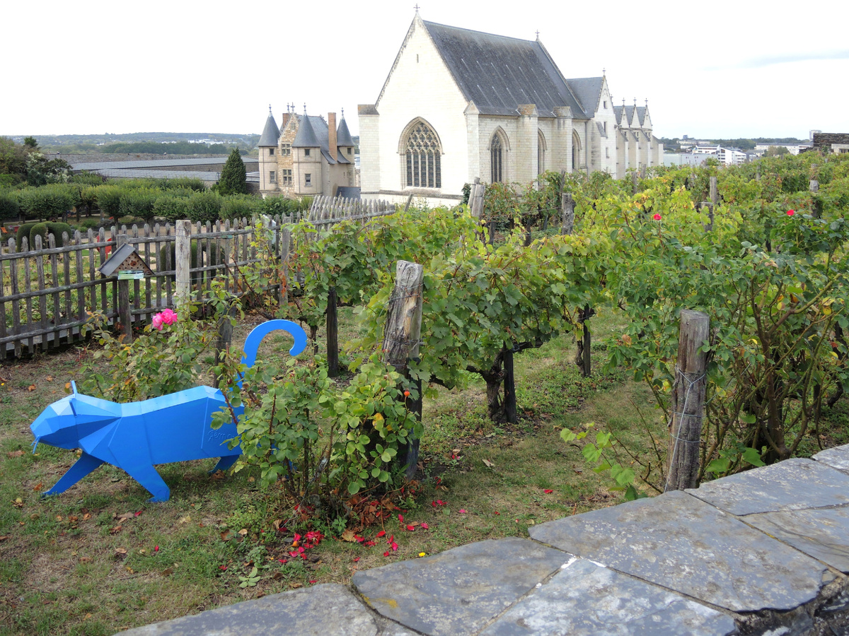 А виноградники там разбиты!