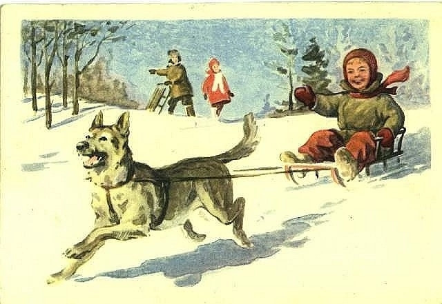 картинки из открытого доступа