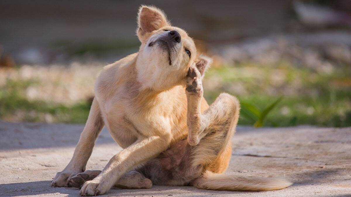    Фото: shutterstock