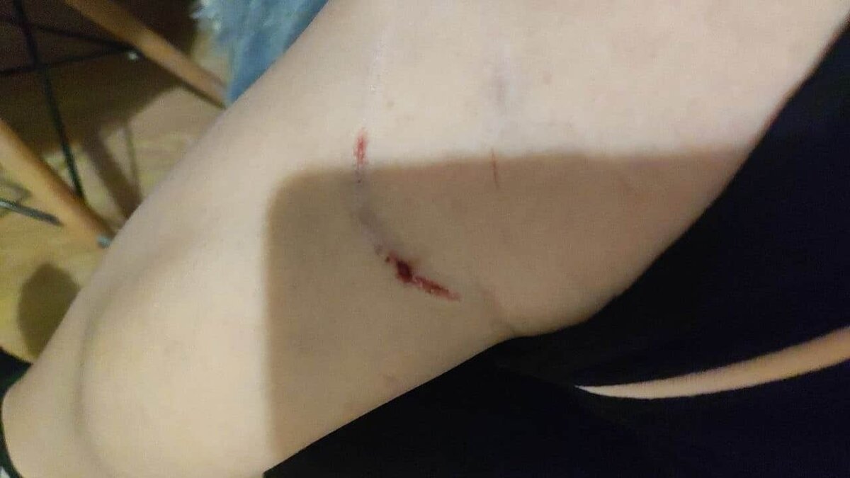    Фото: из паблика ВК «Омск Live»