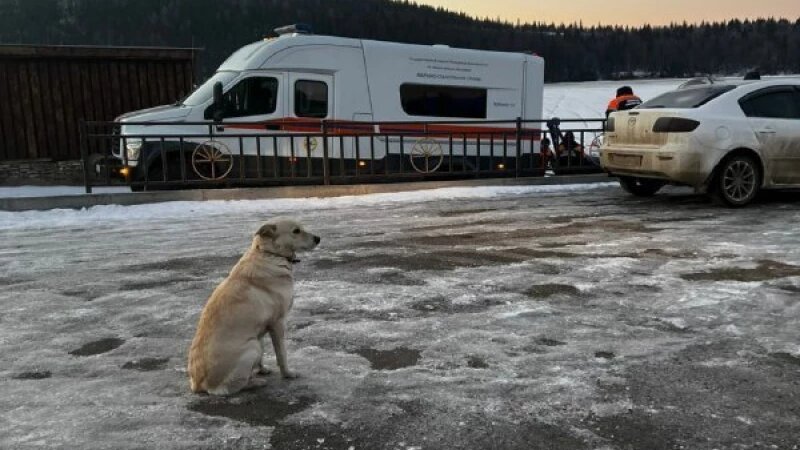     Поиски утонувшего мужчины в реке Уфа МЧС Башкортостан