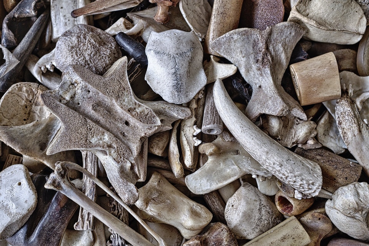     Почему кости обычно разлагаются очень долго?