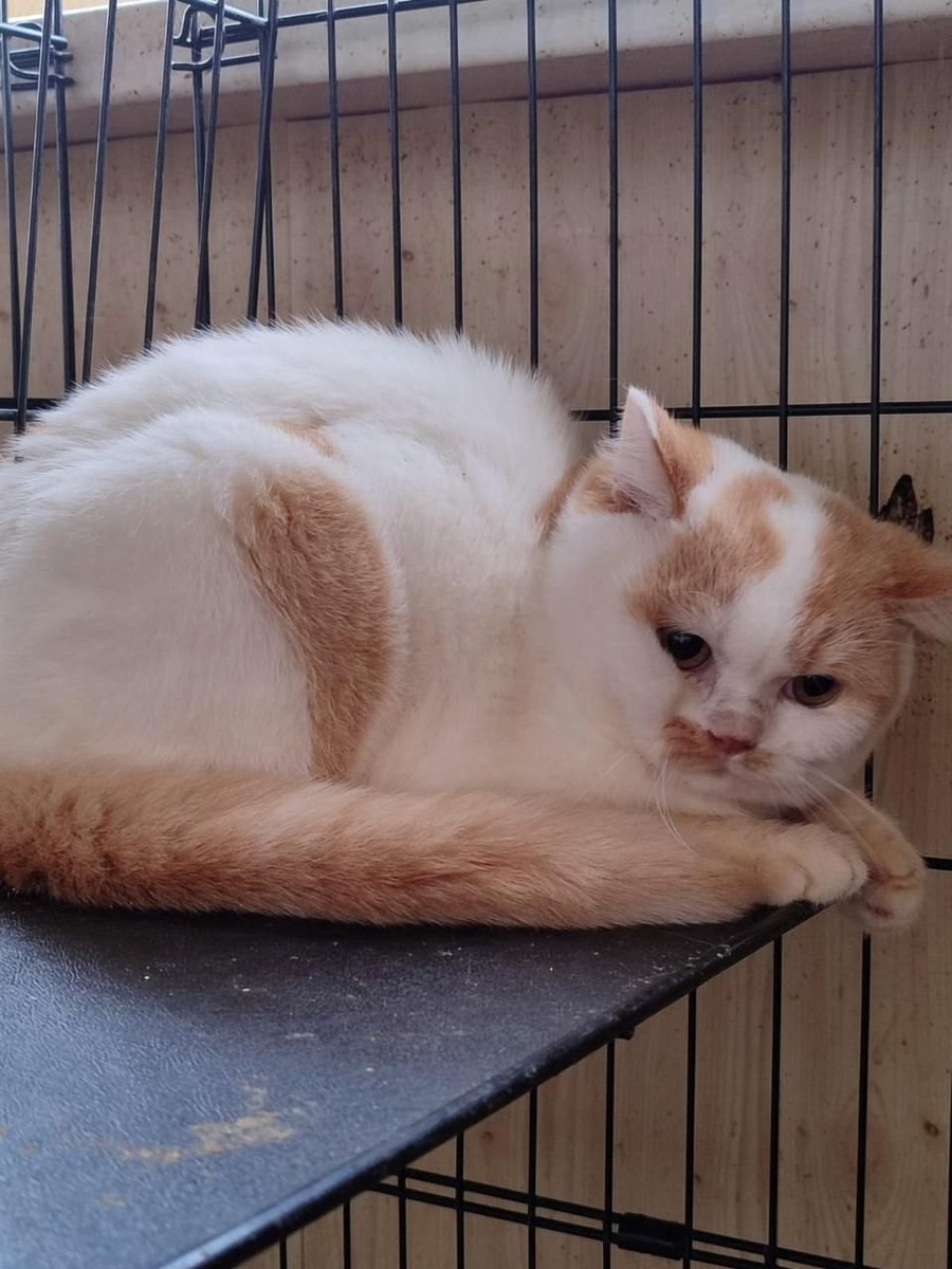 Мальчик 7 месяцев