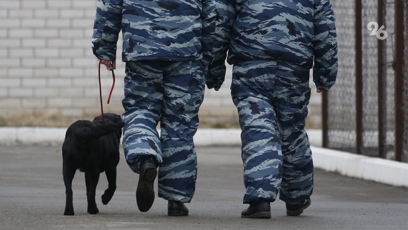      Фото: ИА «Победа26»